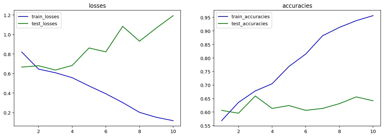 Accuracies and losses during the training