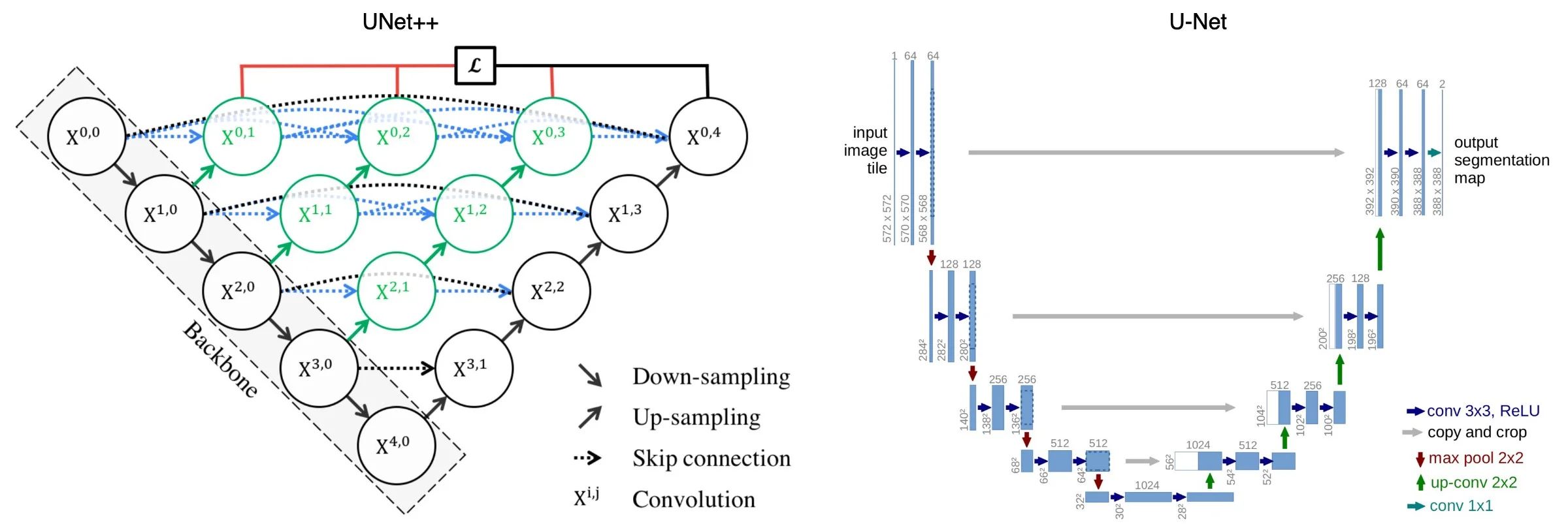 UNet++ and U-Net architecture